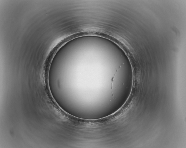X0000111851022200907301106