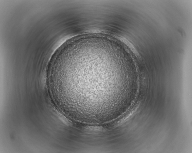 X0000111851023200907301106