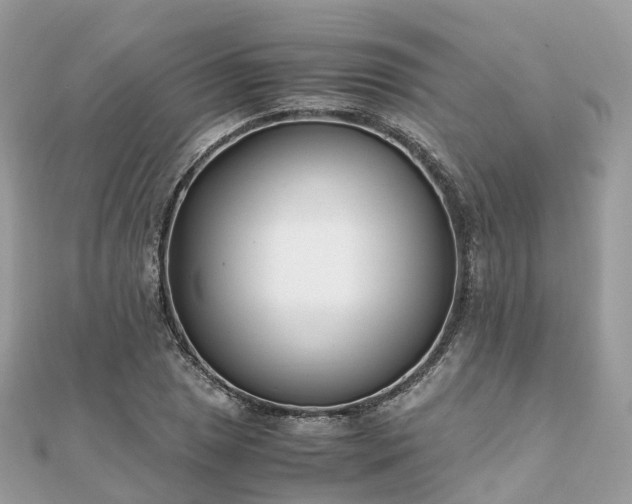 X0000111851025200907301106