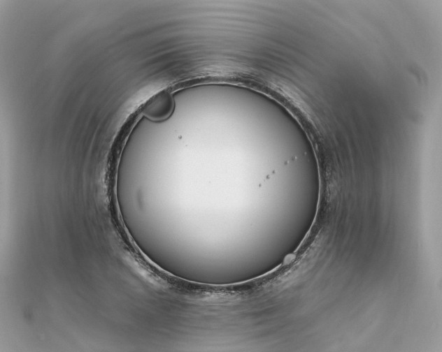 X0000111851026200907301106