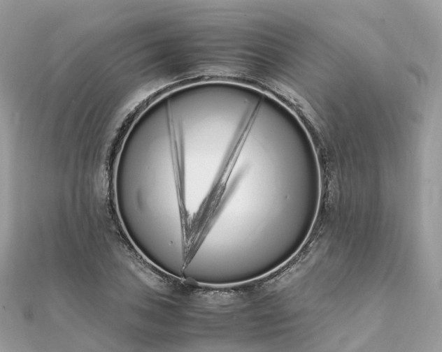 X0000111851027200907301106