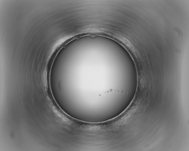 X0000111851030200907301106