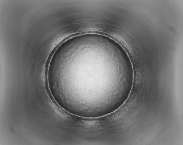 X0000111851031200907301106