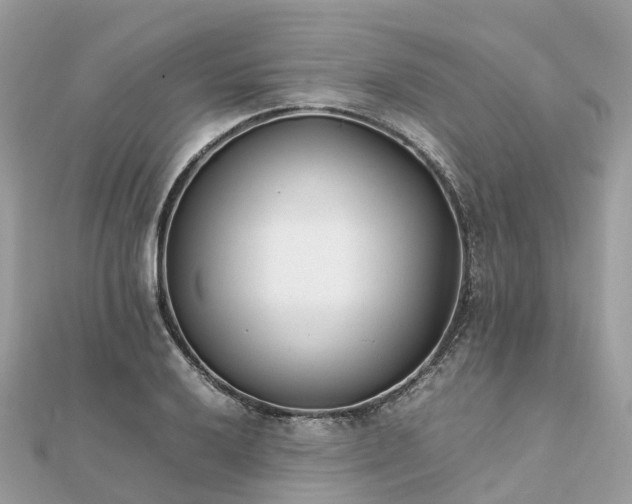 X0000111851032200907301106