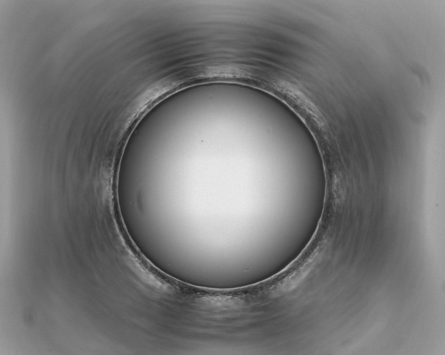 X0000111851033200907301106