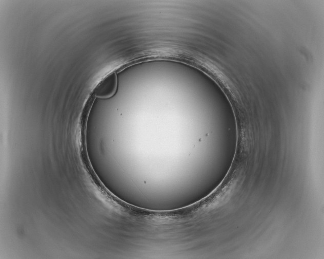 X0000111851034200907301106