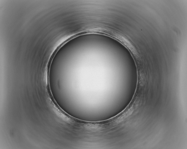 X0000111851036200907301106