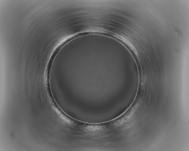 X0000111851037200907301106