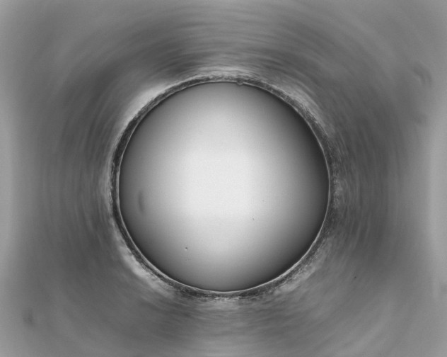 X0000111851038200907301106