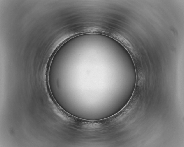 X0000111851039200907301106