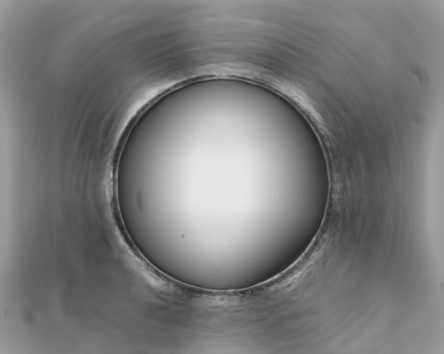 X0000111851040200907301106