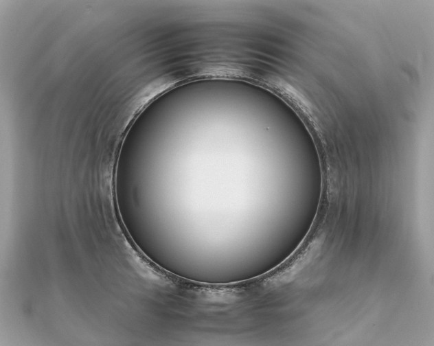 X0000111851041200907301106