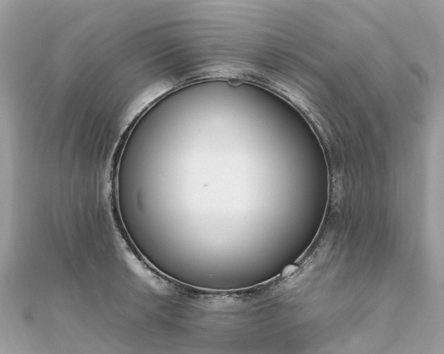 X0000111851042200907301106