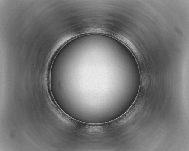 X0000111851043200907301106