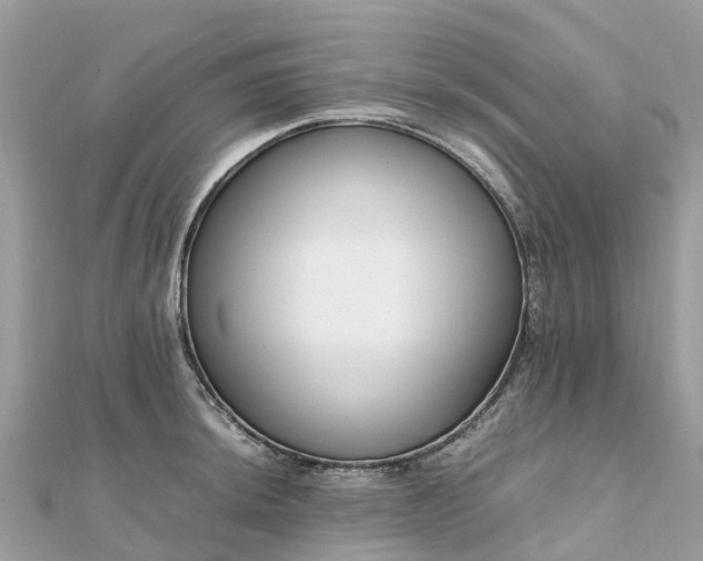 X0000111851044200907301106