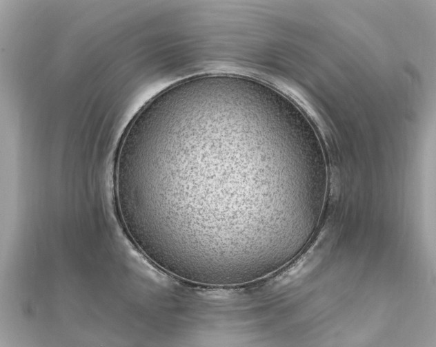 X0000111851048200907301106