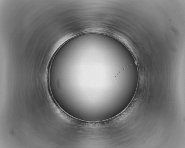 X0000111851050200907301106