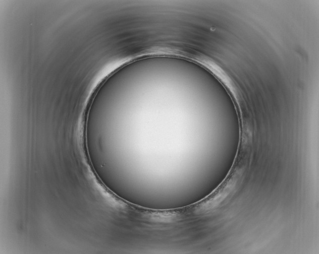 X0000111851053200907301107