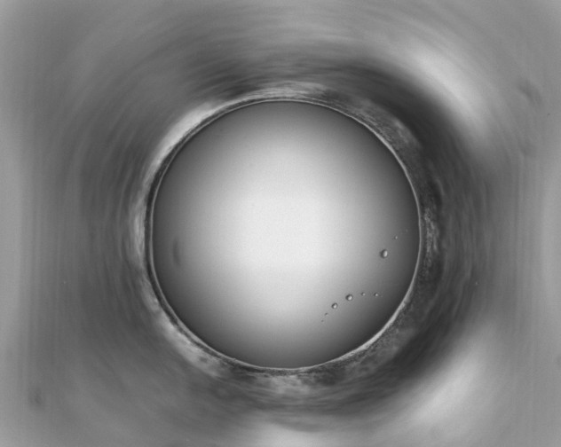 X0000111851054200907301107