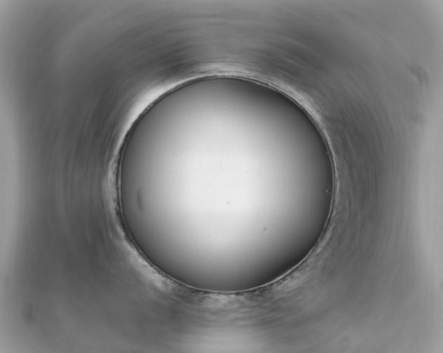 X0000111851056200907301107