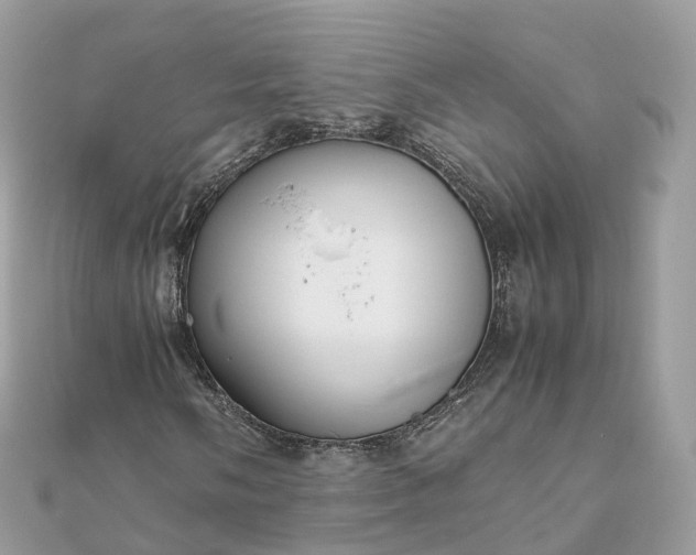 X0000111851058200907301106