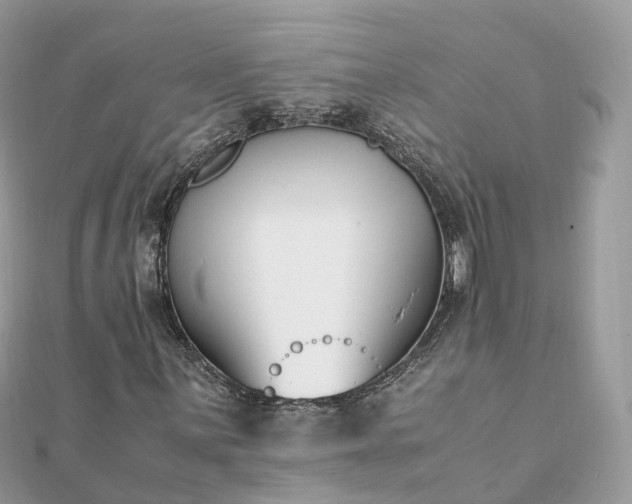 X0000111851059200907301106