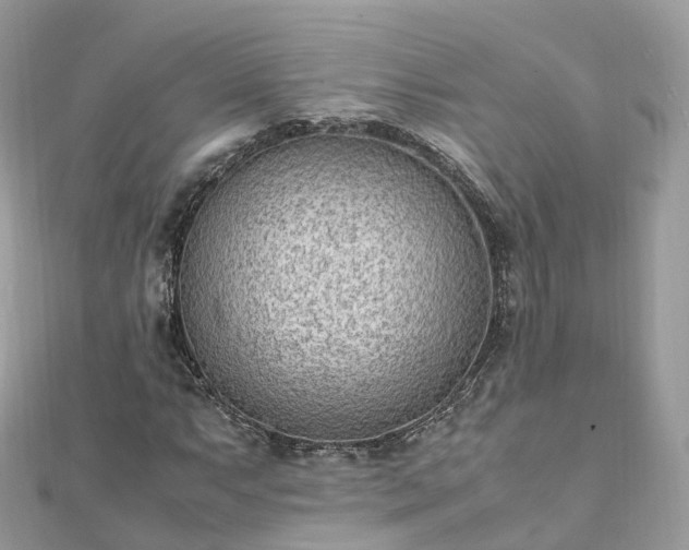 X0000111851063200907301106