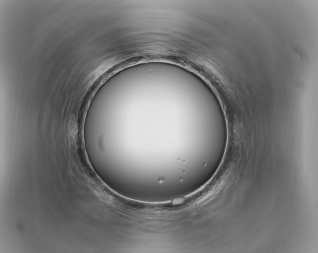 X0000111851065200907301106