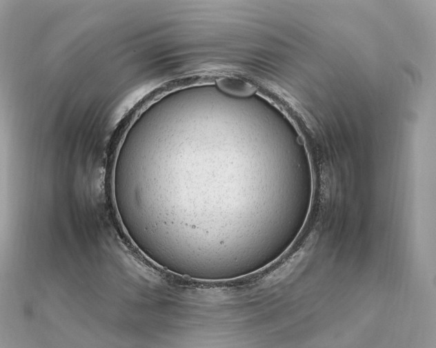 X0000111851066200907301106