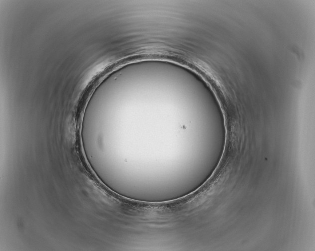 X0000111851067200907301106