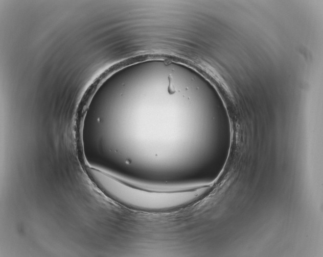 X0000111851068200907301106