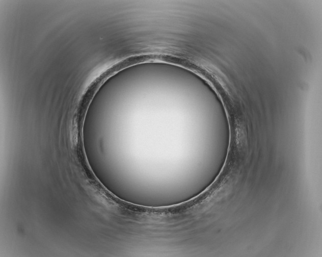 X0000111851069200907301106