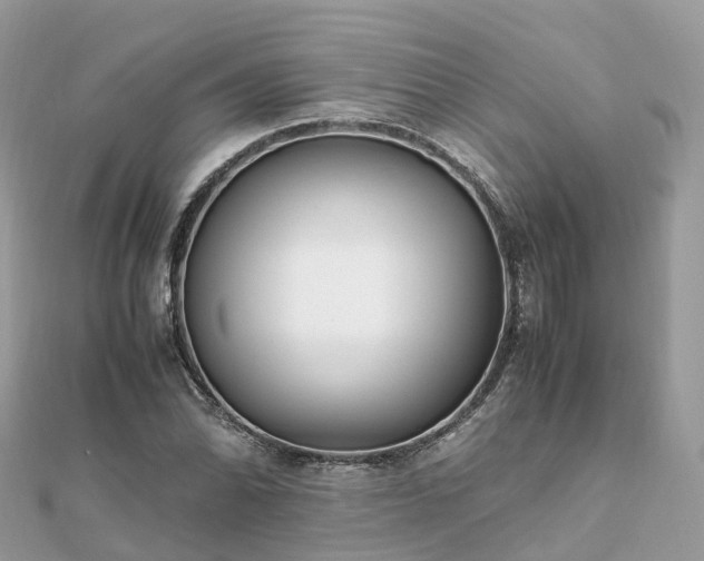 X0000111851070200907301106