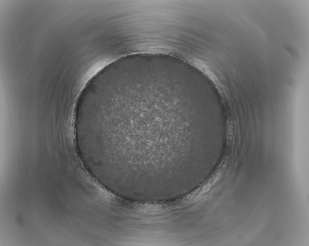 X0000111851071200907301106