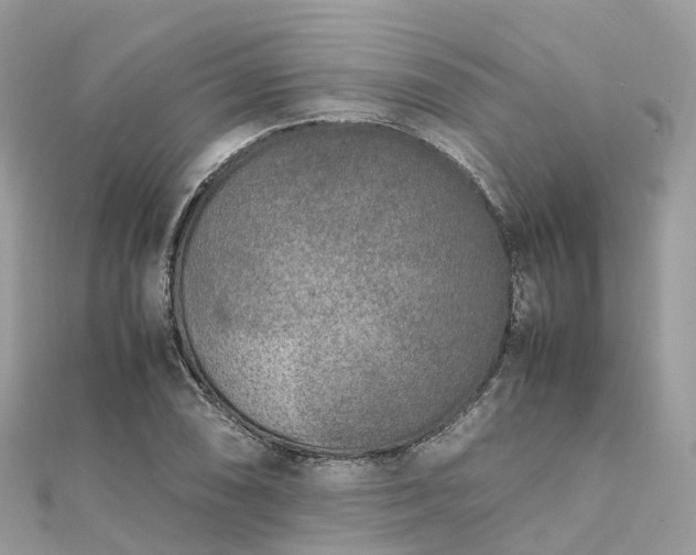 X0000111851074200907301106