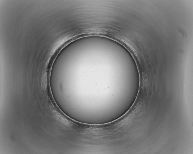 X0000111851075200907301106