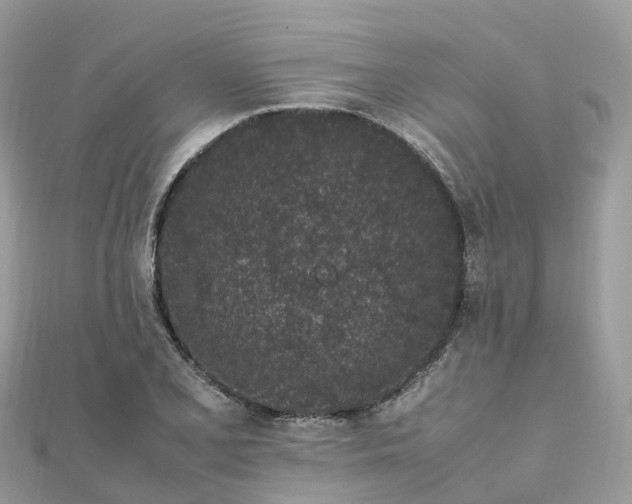 X0000111851077200907301106