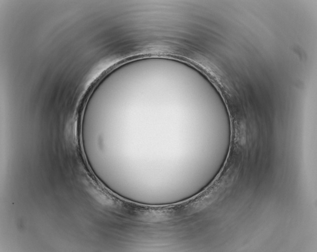 X0000111851078200907301106