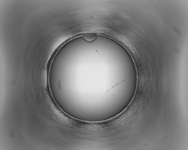 X0000111851079200907301106