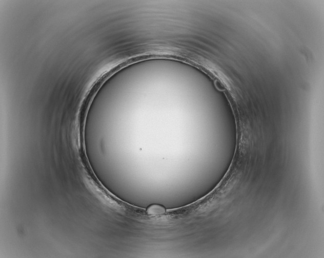 X0000111851080200907301106