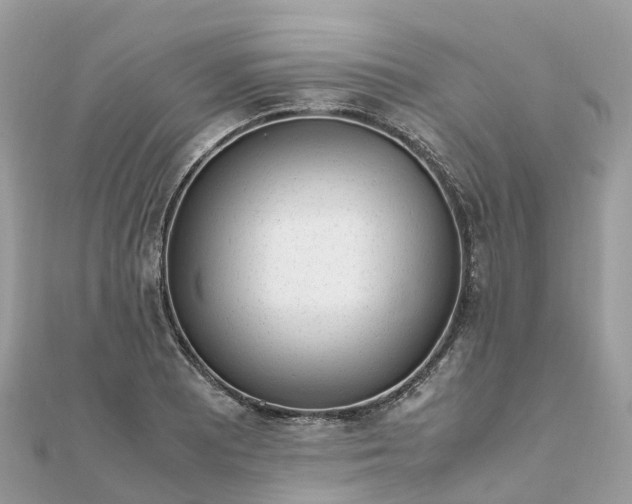 X0000111851081200907301106