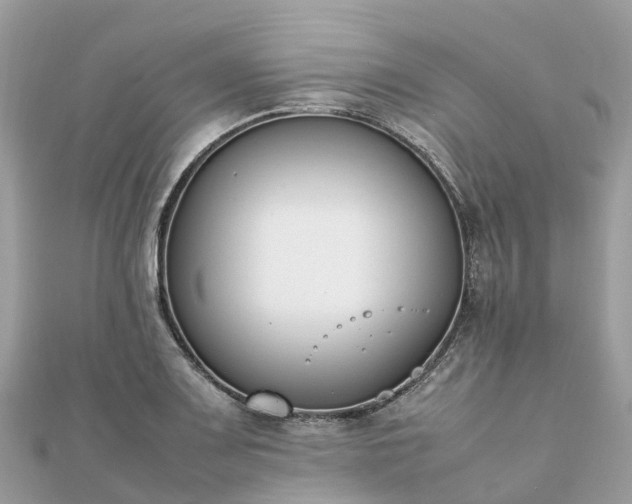 X0000111851083200907301106