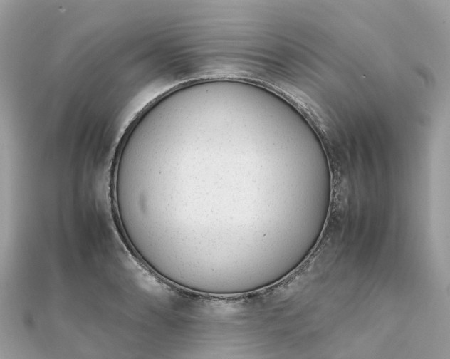 X0000111851086200907301106