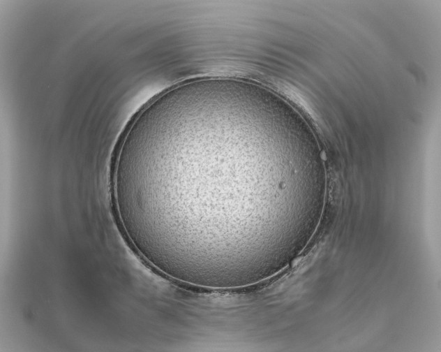 X0000111851087200907301106