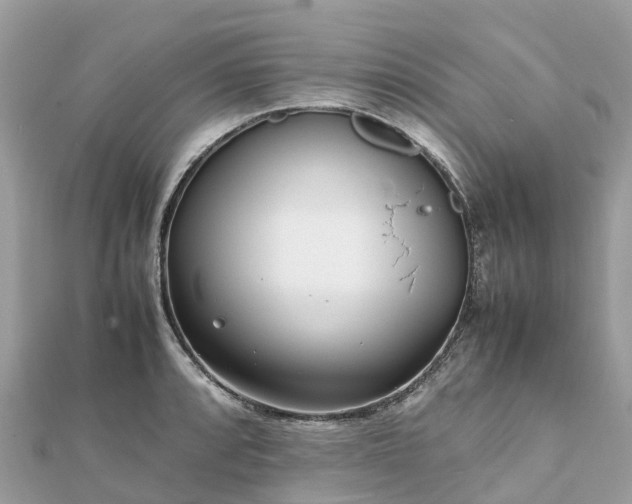 X0000111851088200907301106