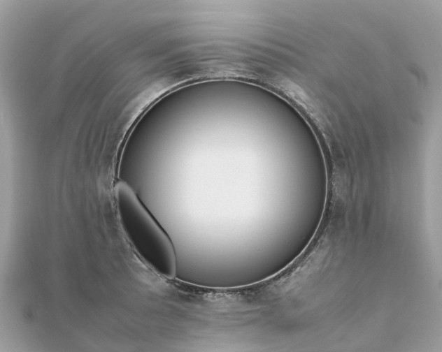 X0000111851089200907301106