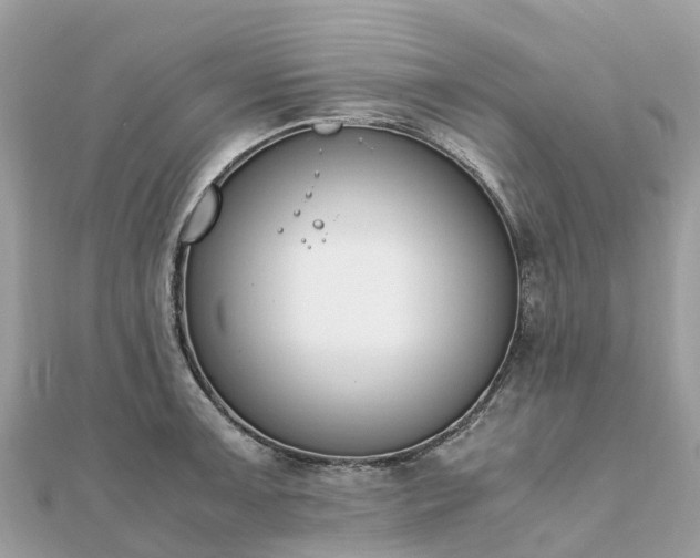 X0000111851091200907301106