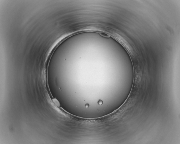 X0000111851092200907301106