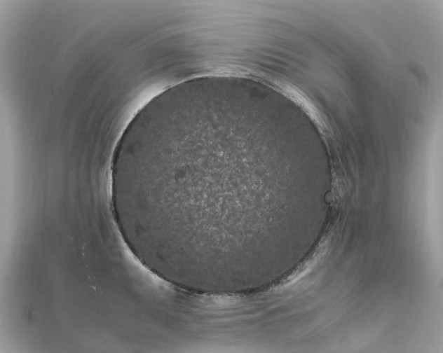 X0000111851095200907301105
