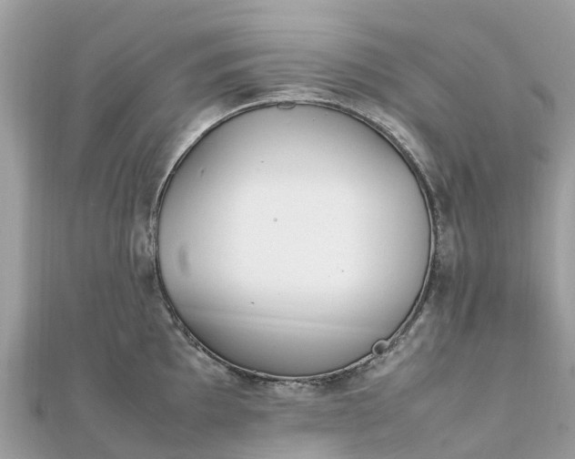 X0000111851097200907301105